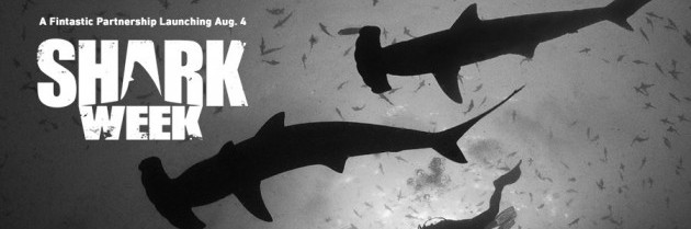 MacGillivray Freeman’s One World One Ocean Campaign Teaming with Discovery’s Shark Week