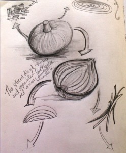 sliced, diced & separated red onion sketch, Sara Kapadia 7-