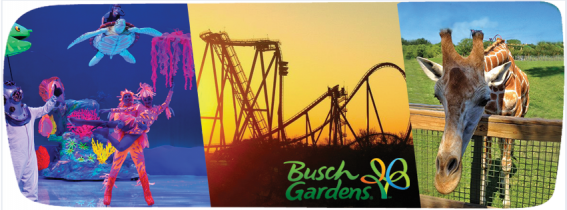 Busch Gardens Themed Play Area Latest Highlight of Tampa’s International Plaza