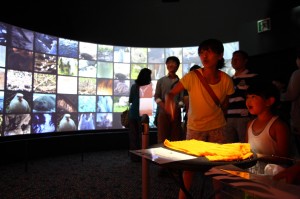 Infinity theater: as items of clothing are placed on the table in the center of the space, the entire theater comes alive with images of nature in the same color as the clothing.