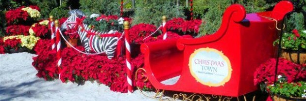 Christmas Town Returns to Busch Gardens Tampa Bay with More to Offer