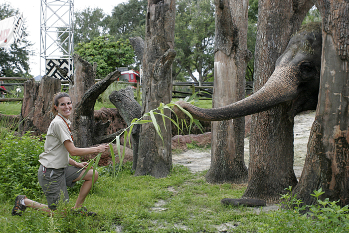 Busch Gardens Tampa Celebrates Elephants August 9