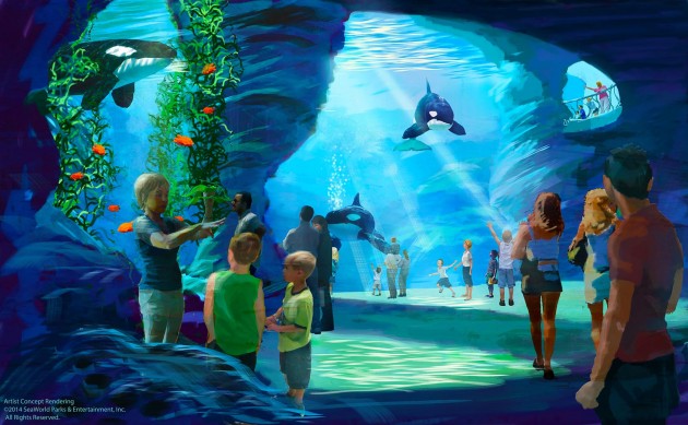 SeaWorld San Antonio Announces Enhanced Habitats for Killer Whales, Dolphins, and Sea Lions
