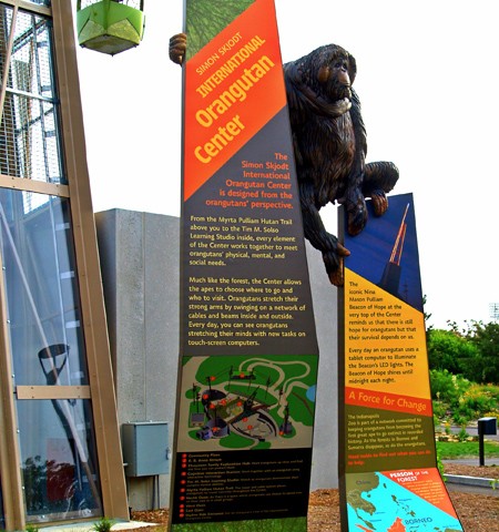 Orangutan5-450-450x480