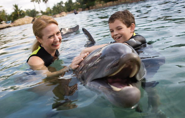 2deabbdf1d6e4c07a34dee1c10308518_dolphin-mom-and-son-large