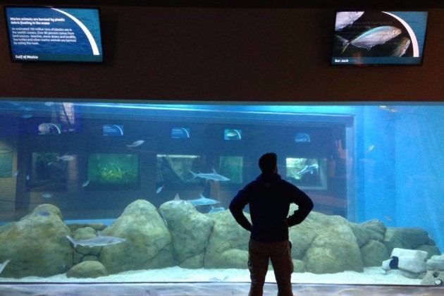 VIDEO: Reynold’s Polymer Helps Give Toledo Zoo Guests Clear View of World’s Oceans