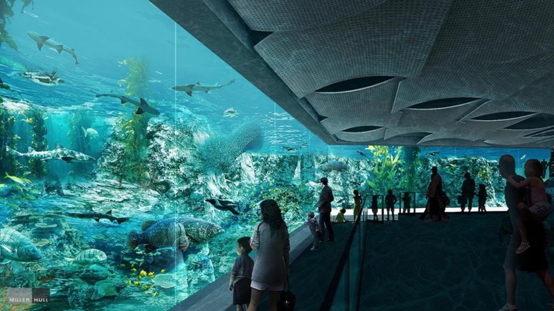Underwater viewing area for African penguins and other aquatic life