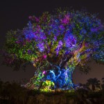 Tree of Life Awakens at Disney’s Animal Kingdom at Night