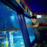 LEGO® City Deep Sea Adventure submarine ride.