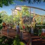 3_Majestic-Forest-rendering_Primate-Canopy-Trails-Saint-Louis-Zoo_web