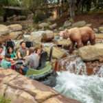 Calico River Rapids Bear and Riders