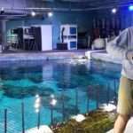 Manta-Aquarium-SeaWorld-InsideLook-JudyRubin-InPark