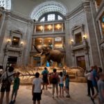 children-viewing-henry-the-elephant-at-natural-history-museum_credit-department-of-state-iip-photo-archive