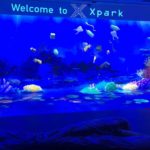 Xpark-Aquarium_3-web