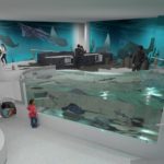 reeflive-aquarium-interior
