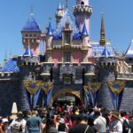 Disneyland castle crowd